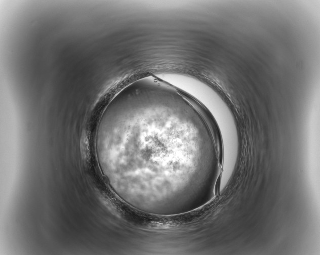 X0000085310688200703161452