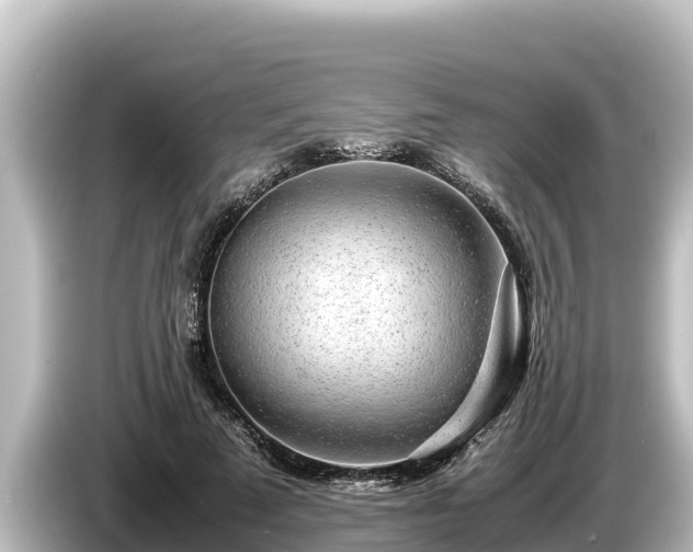 X0000085310689200703161452