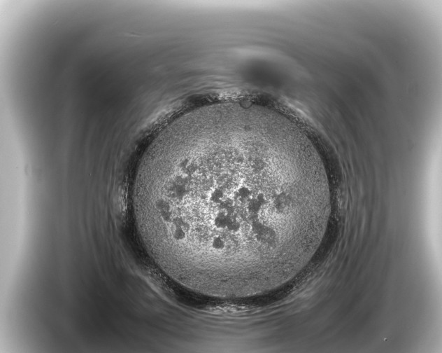 X0000085310691200703161452