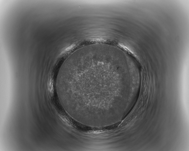 X0000085310692200703161452