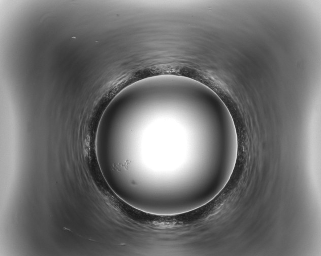 X0000085310693200703161452