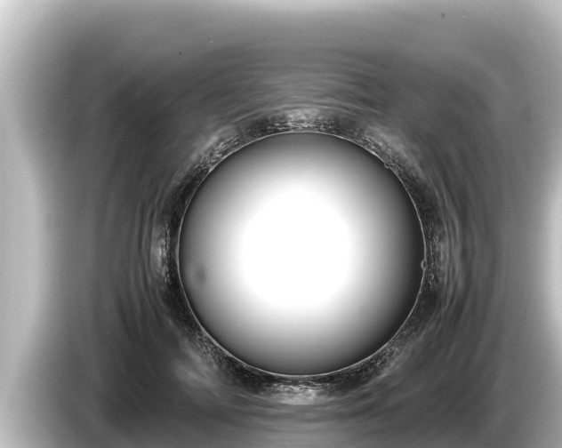 X0000085310698200703161452
