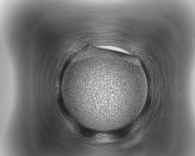 X0000085310699200703161452