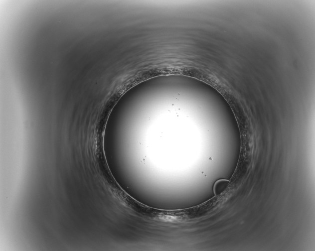 X0000085310706200703161452