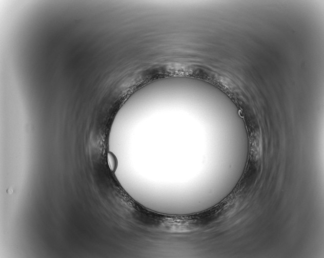 X0000085310713200703161452