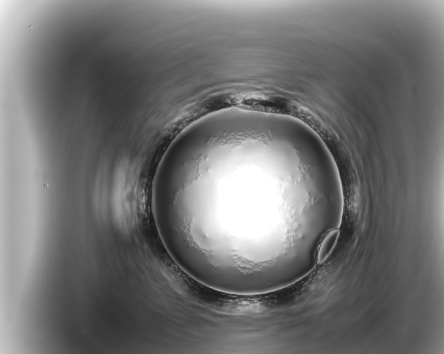 X0000085310715200703161452