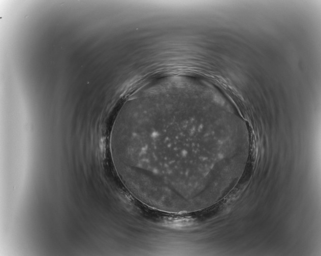 X0000085310716200703161452