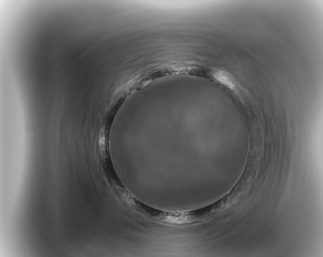 X0000085310720200703161452
