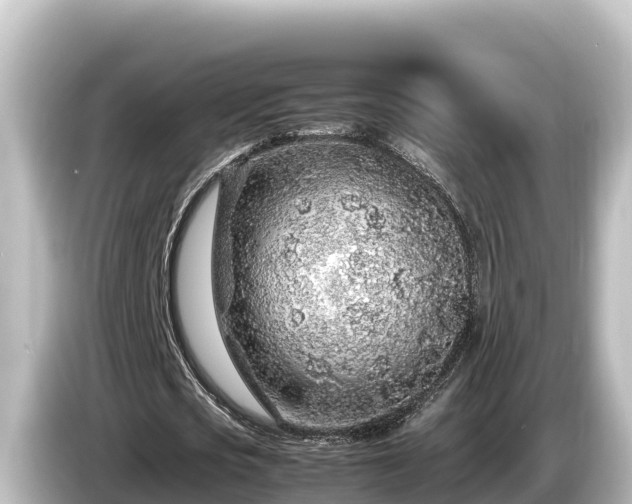 X0000085310721200703161451