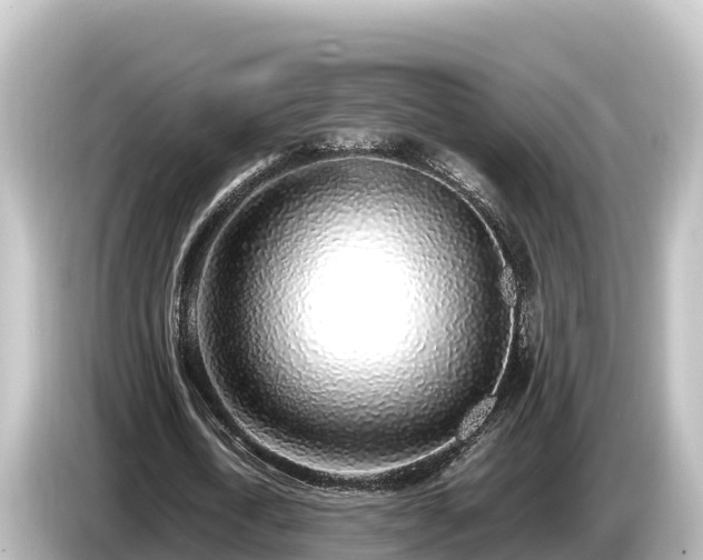 X0000085310722200703161451