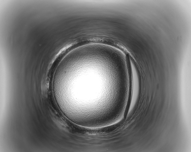 X0000085310723200703161451