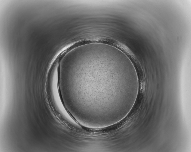 X0000085310724200703161451