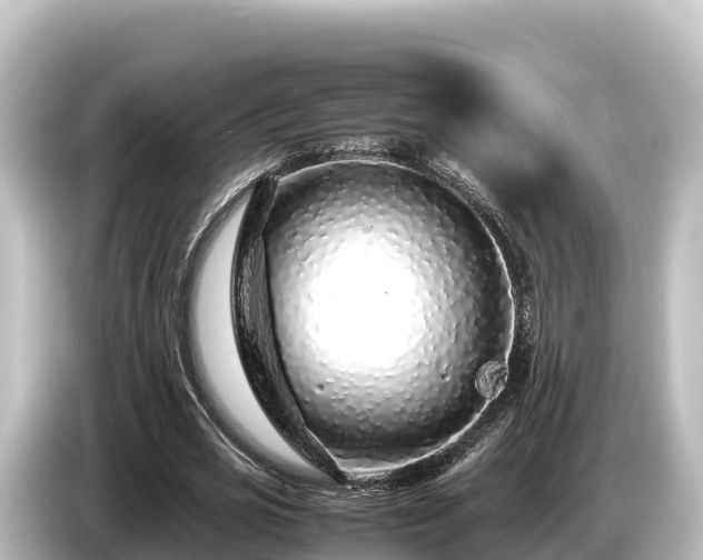 X0000085310725200703161451