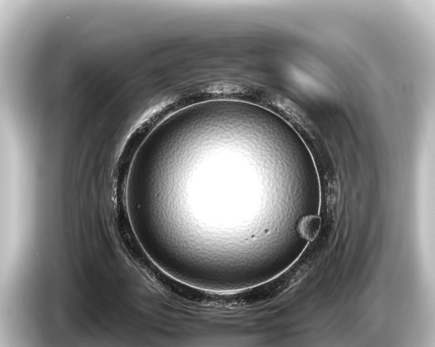 X0000085310727200703161451