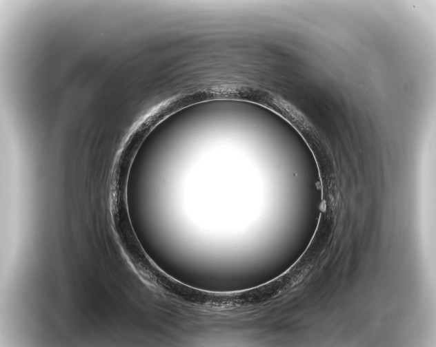 X0000085310728200703161451