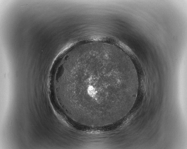 X0000085310730200703161451