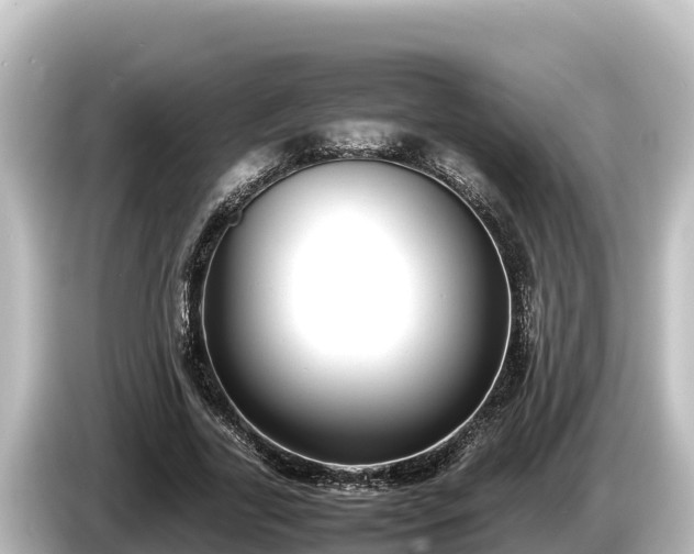 X0000085310731200703161451