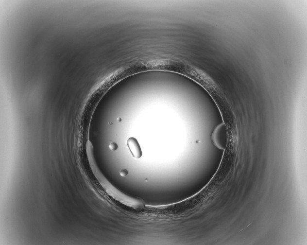 X0000085310732200703161451