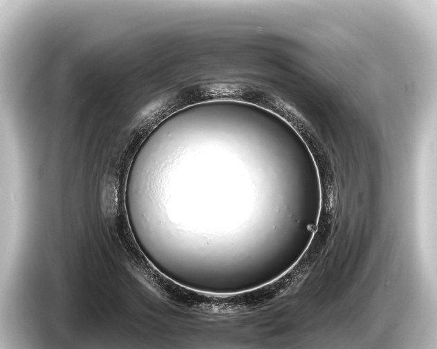 X0000085310733200703161451