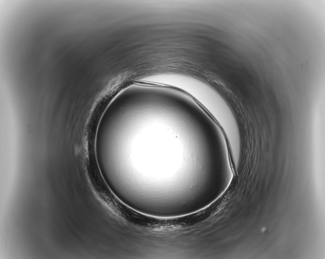 X0000085310734200703161451