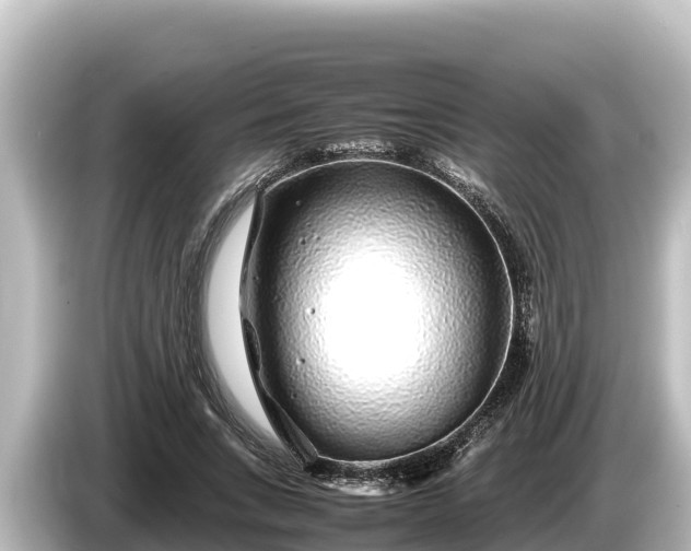 X0000085310735200703161451