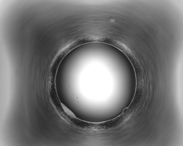 X0000085310736200703161451