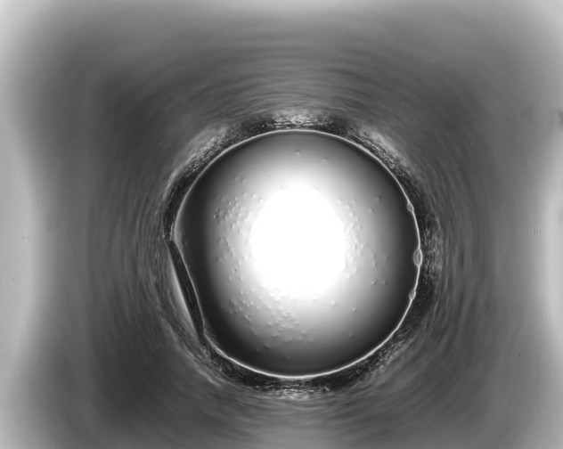 X0000085310738200703161451