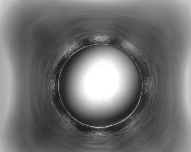 X0000085310739200703161451