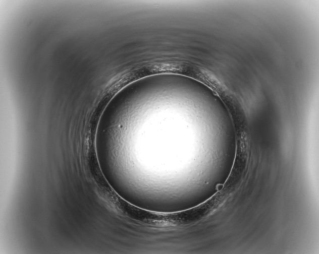 X0000085310741200703161451