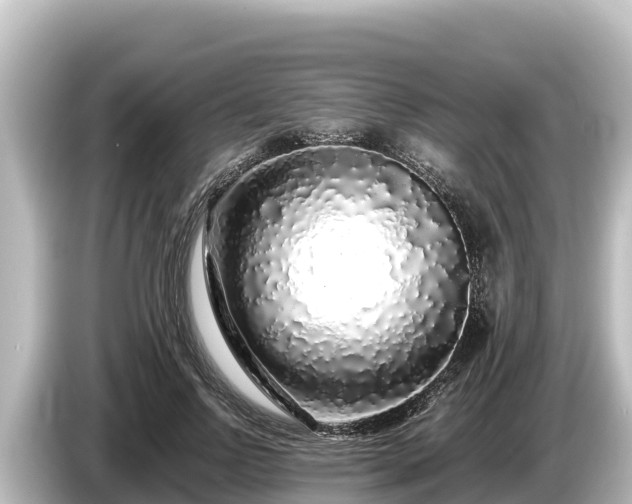 X0000085310742200703161451