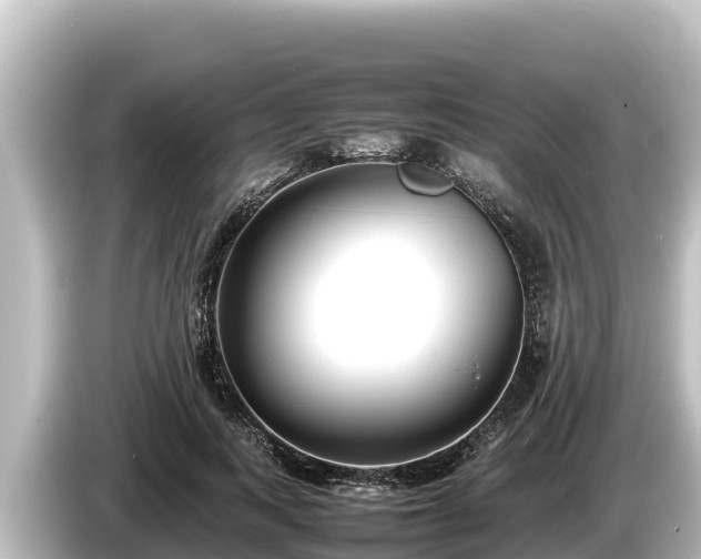 X0000085310743200703161451
