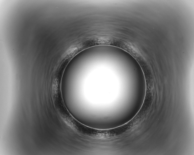 X0000085310744200703161451