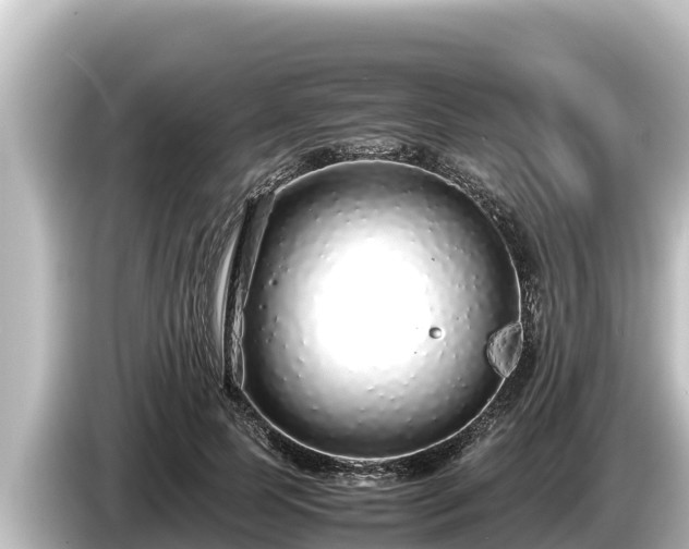 X0000085310745200703161451
