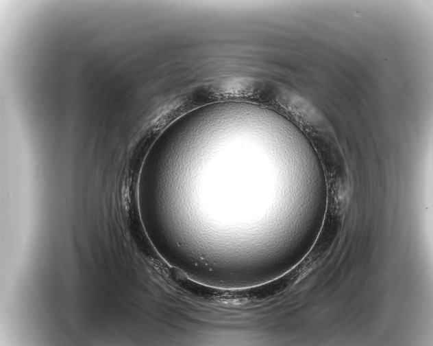 X0000085310746200703161451