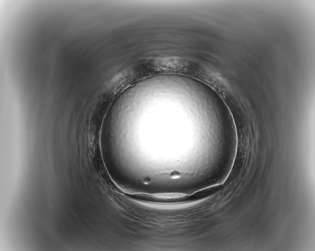 X0000085310749200703161451