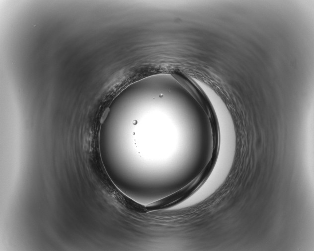 X0000085310750200703161451