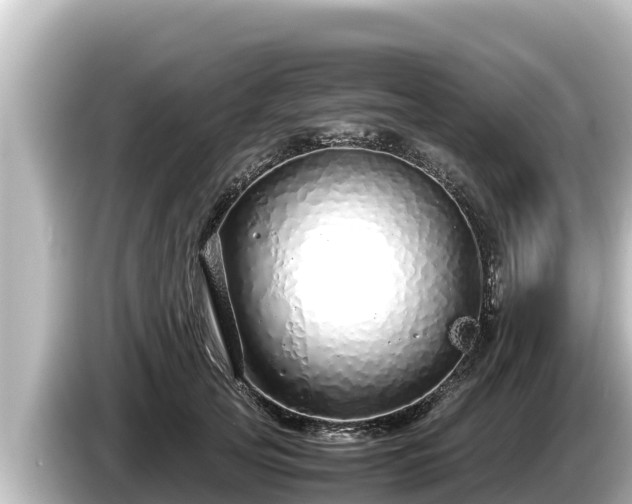 X0000085310753200703161451