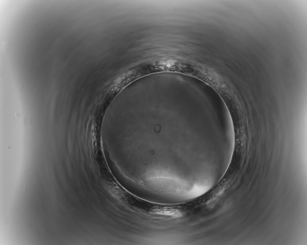 X0000085310754200703161452