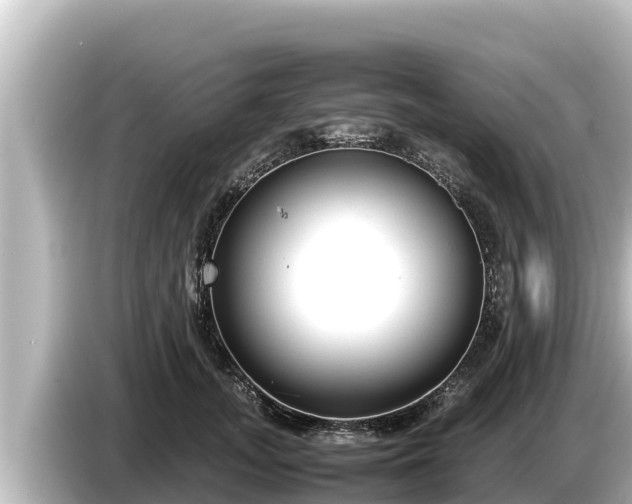 X0000085310755200703161452
