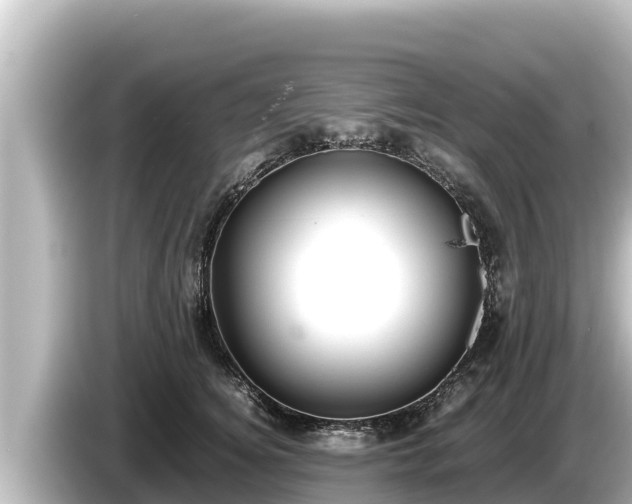 X0000085310756200703161452