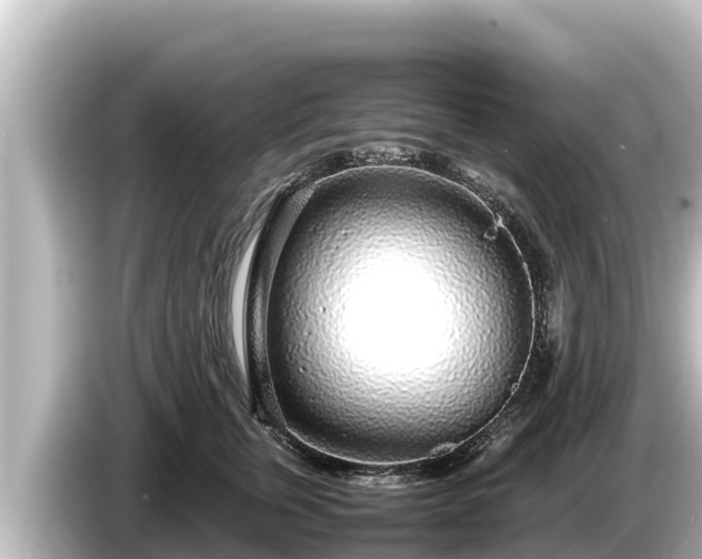 X0000085310759200703161452