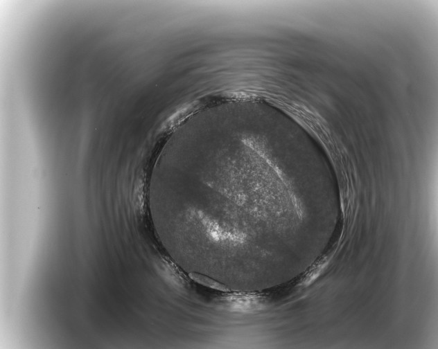X0000085310762200703161452