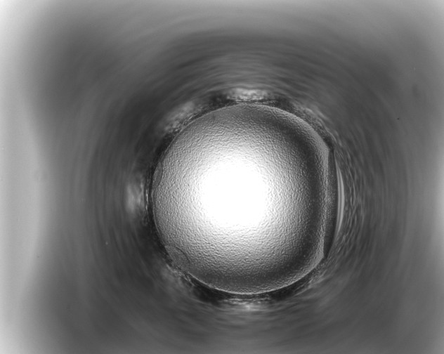 X0000085310763200703161452