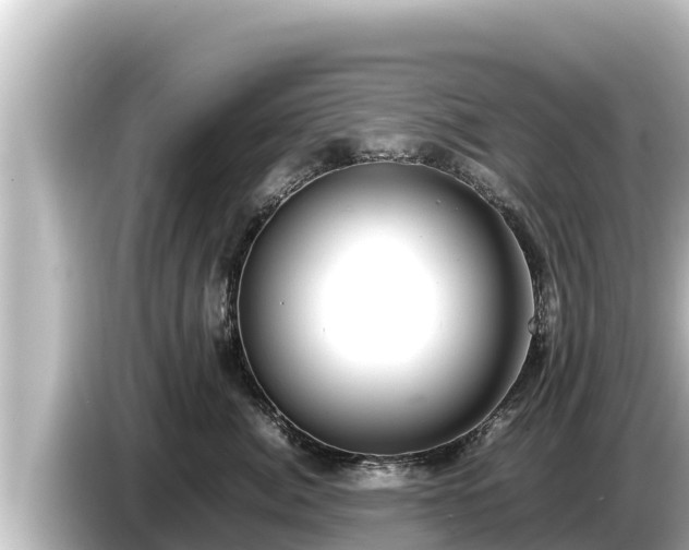 X0000085310764200703161452