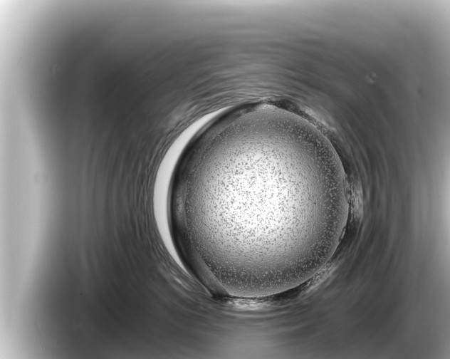 X0000085310766200703161452