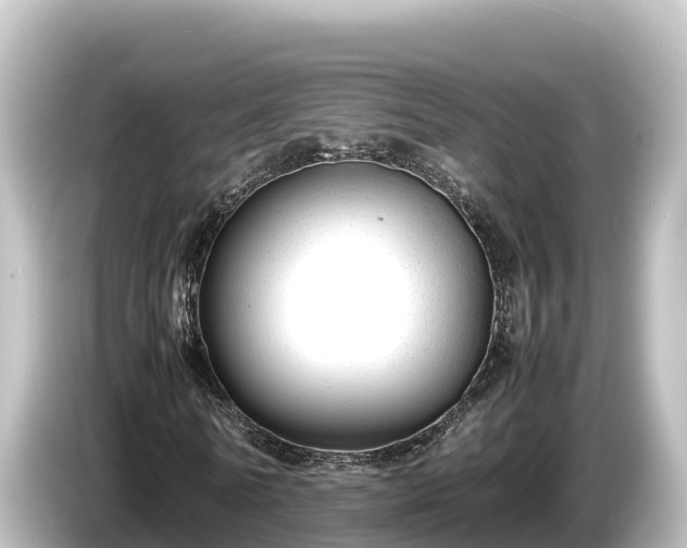 X0000085310770200703161451