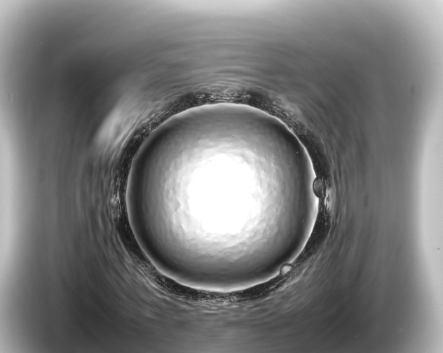 X0000085310771200703161451
