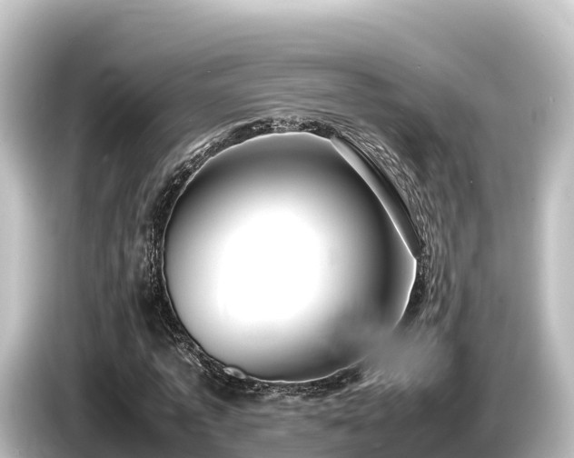 X0000085310773200703161451
