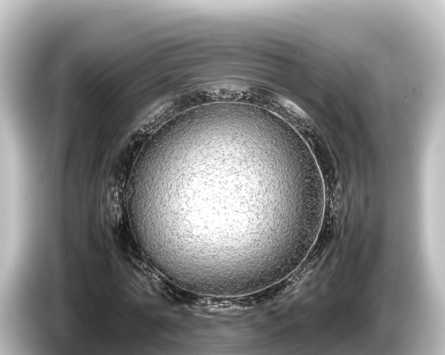 X0000085310774200703161451