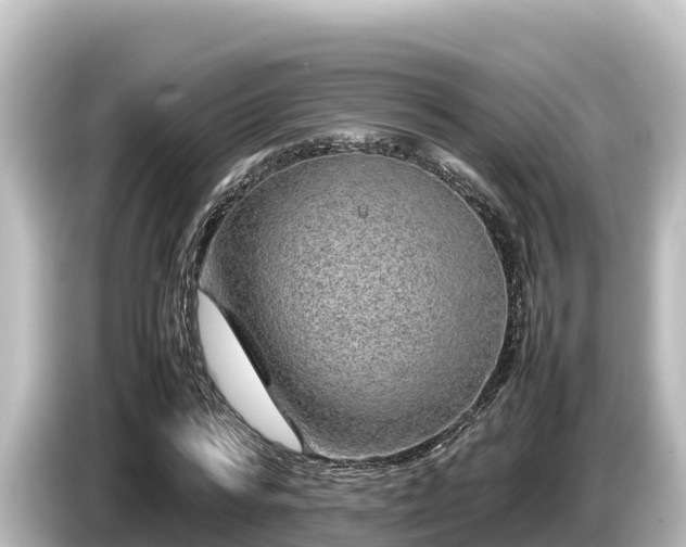 X0000085310776200703161451